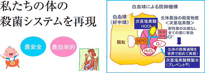 �r�_��| - (c)IKEGAKI REIKOU CO.,LTD.