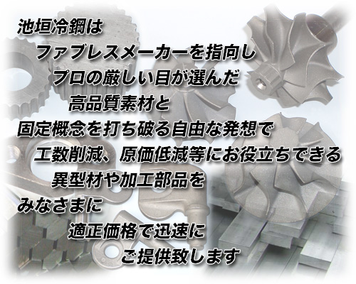 �r�_��| - (c)IKEGAKI REIKOU CO.,LTD.